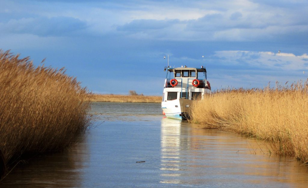 Guided boat excursions for sightseeing and wildlife watching near Rosolina Mare