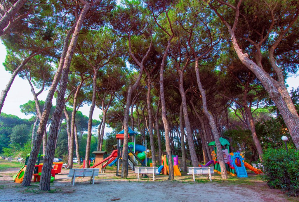 Panorama des Spielplatzes mit Bänken, Rutschen und Spielgeräten für Kinder unter hohen Kiefern